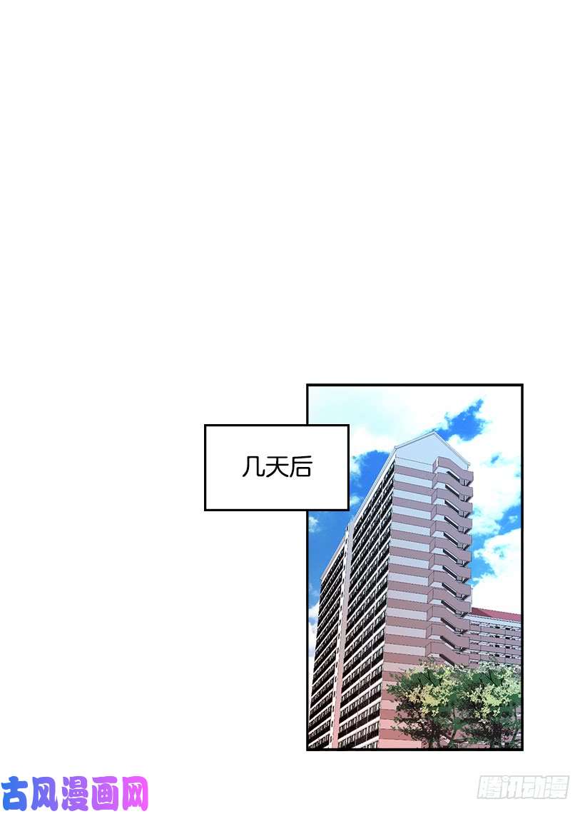 网络小说的法则9.为什么一直躲着我？