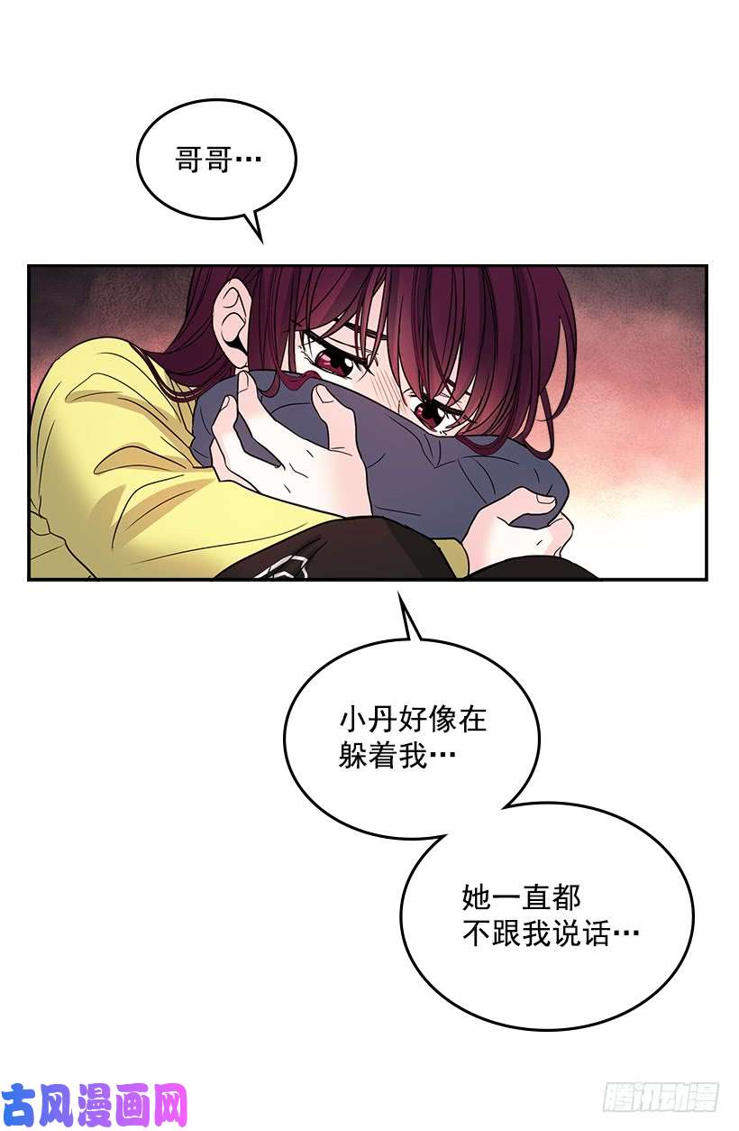 网络小说的法则9.为什么一直躲着我？