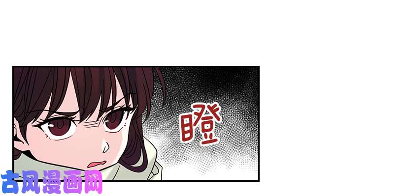 网络小说的法则13.谁敢欺负我的小丹！