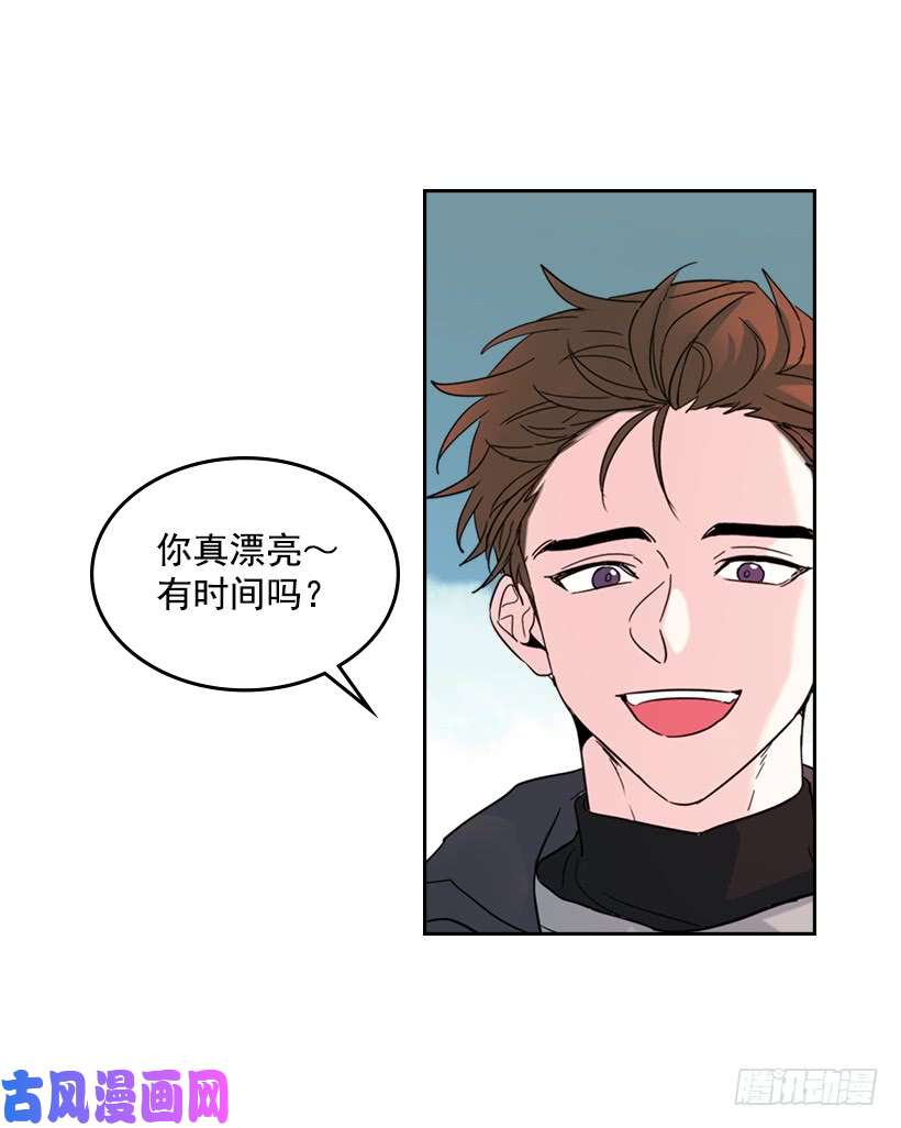 网络小说的法则13.谁敢欺负我的小丹！