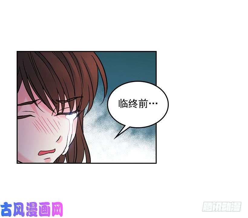 网络小说的法则13.谁敢欺负我的小丹！