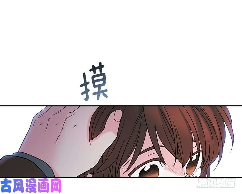 网络小说的法则13.谁敢欺负我的小丹！