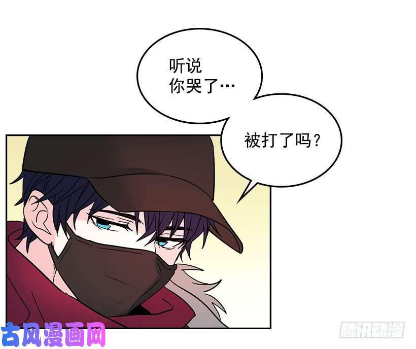 网络小说的法则14.我们会结婚的！