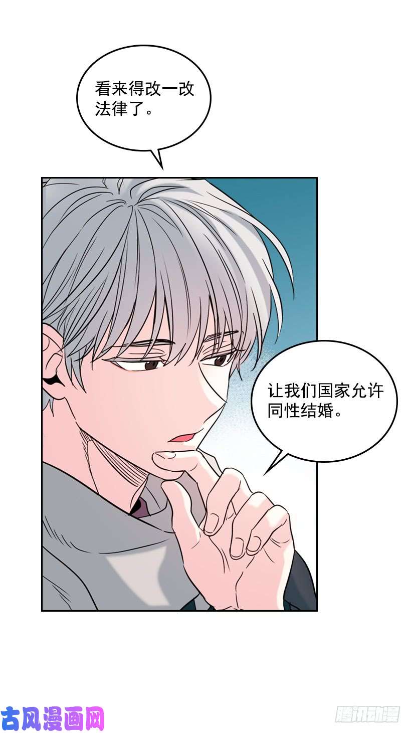 网络小说的法则14.我们会结婚的！