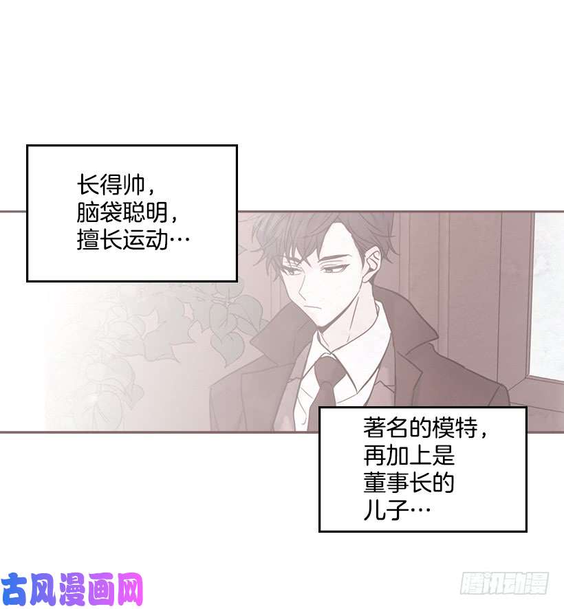 网络小说的法则16.没发烧啊