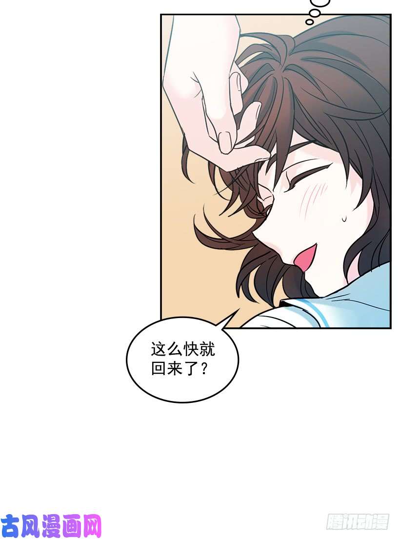 网络小说的法则16.没发烧啊
