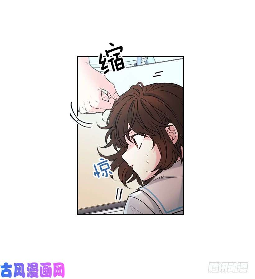 网络小说的法则17.他竟然喜欢摇滚乐？