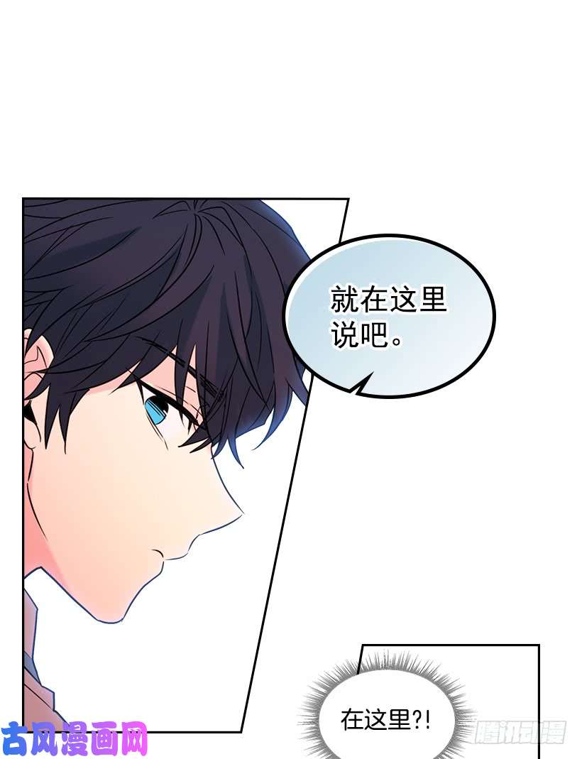 网络小说的法则18.表白