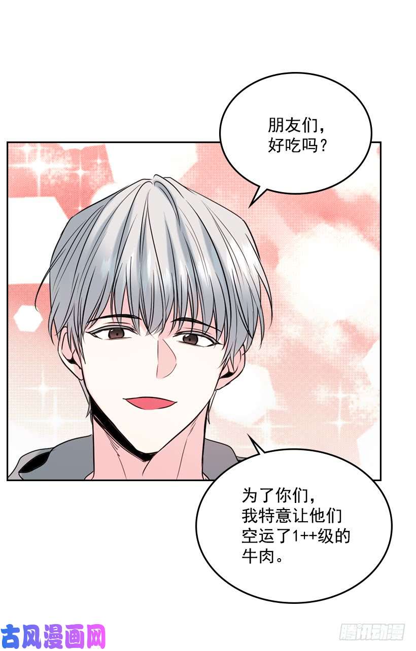 网络小说的法则27.从天而降的人
