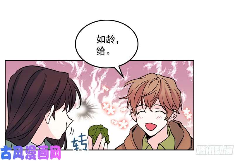 网络小说的法则27.从天而降的人