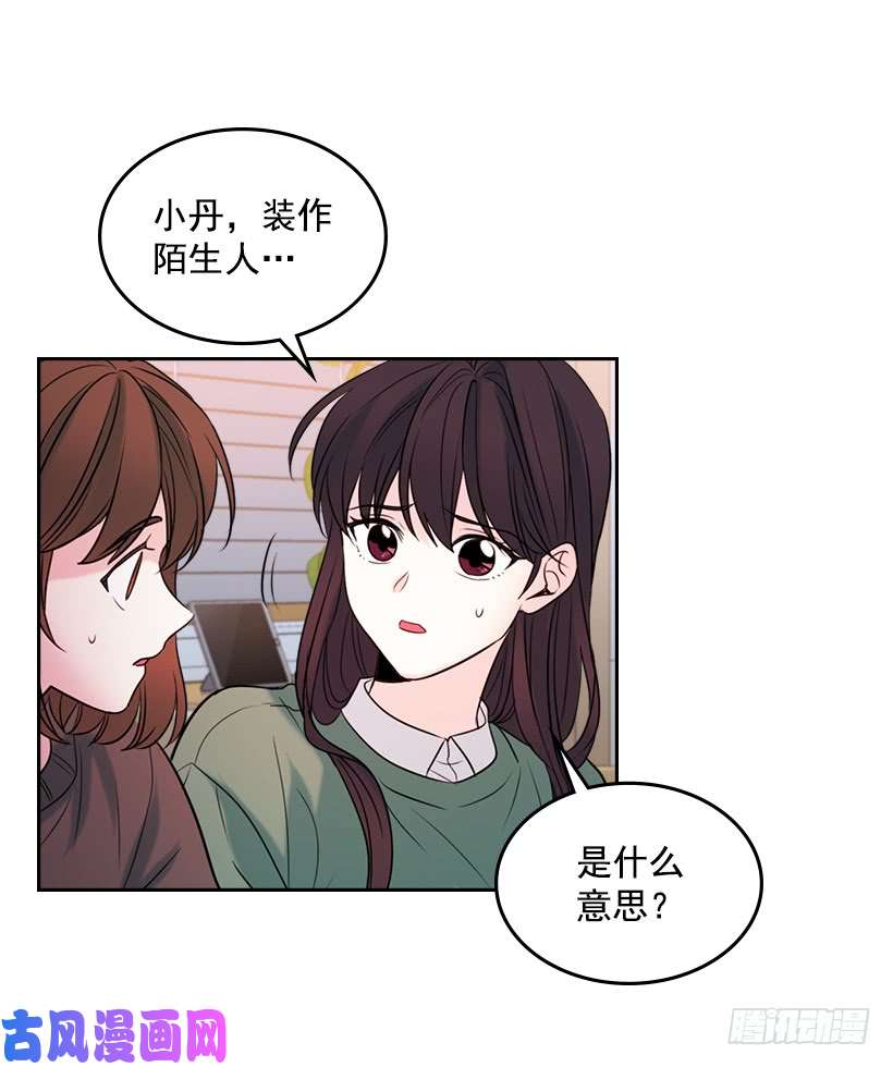 网络小说的法则28.我们是朋友啊！