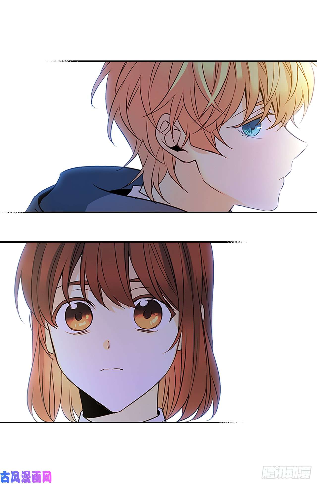 网络小说的法则41.我有话要说