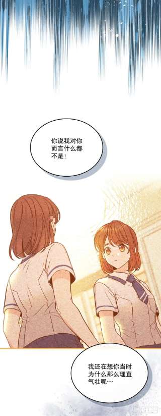 网络小说的法则142.你根本不懂