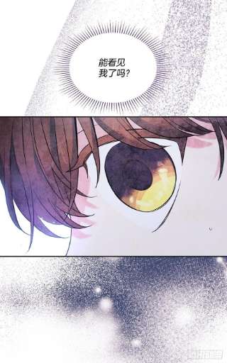 网络小说的法则143.营救丹儿