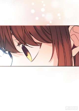 网络小说的法则143.营救丹儿