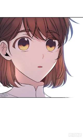 网络小说的法则143.营救丹儿