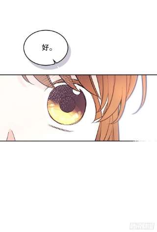 网络小说的法则143.营救丹儿