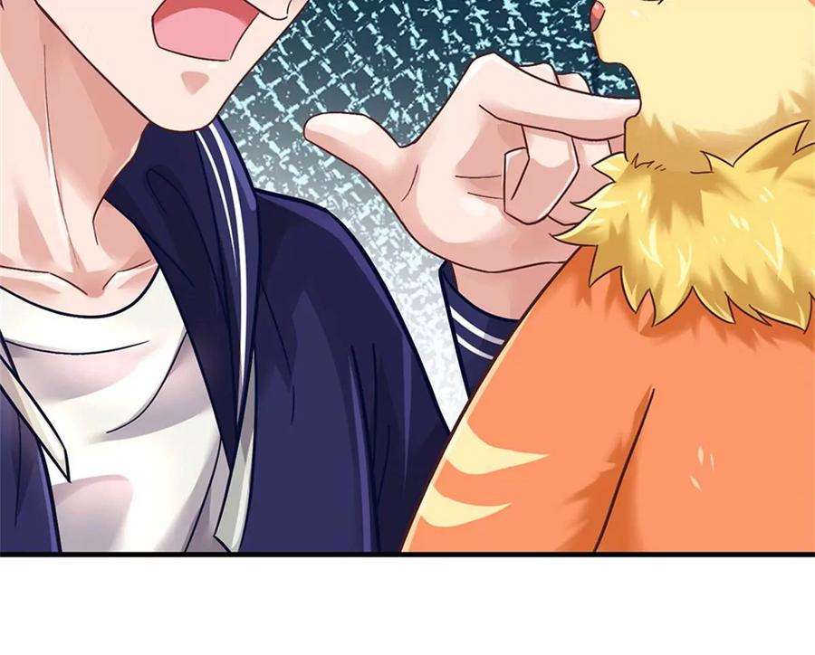 我的属性都加了力量37话 兽仆