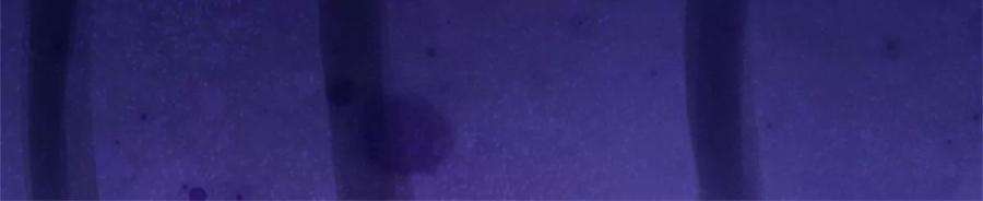 我的属性都加了力量59话 深海捕鱼大会