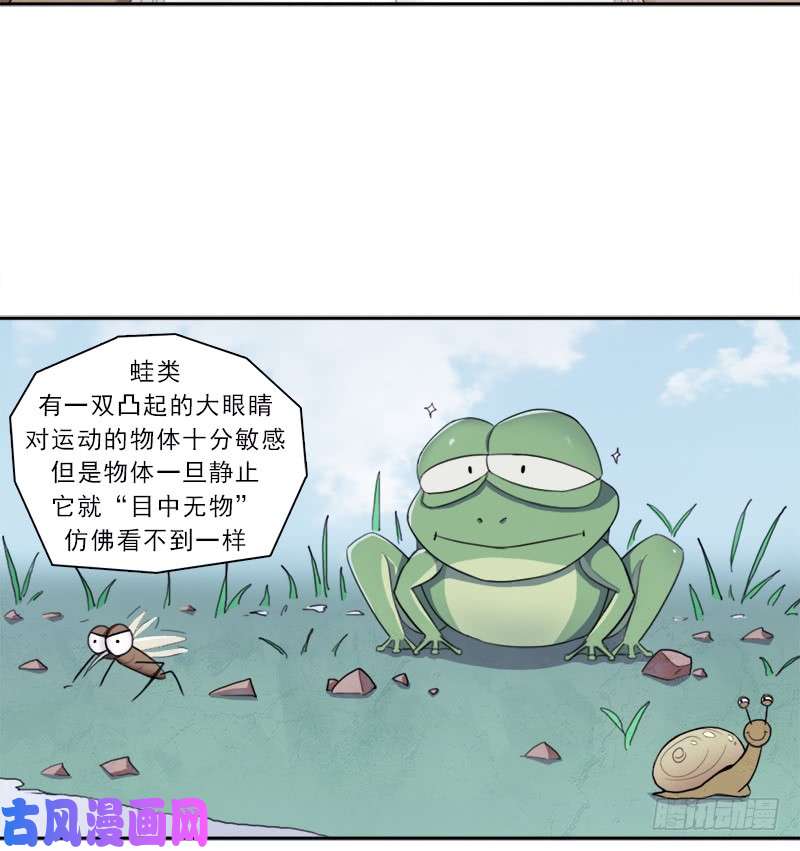 拯救世界吧！大叔半狂化