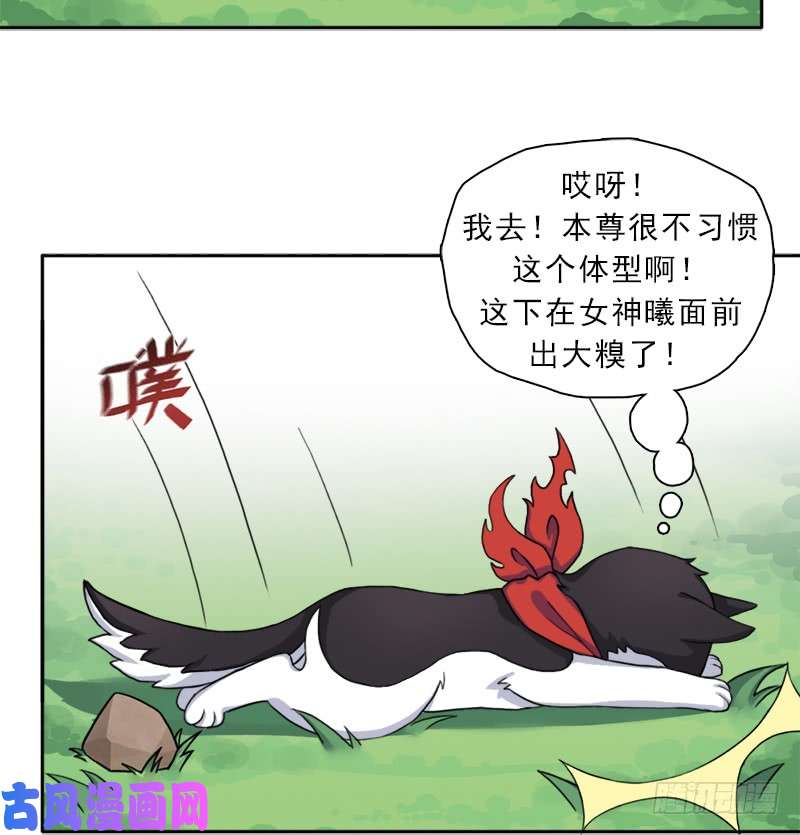 拯救世界吧！大叔邪尊与女神曦
