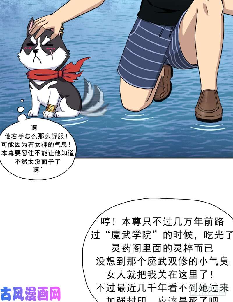 拯救世界吧！大叔邪尊与女神曦