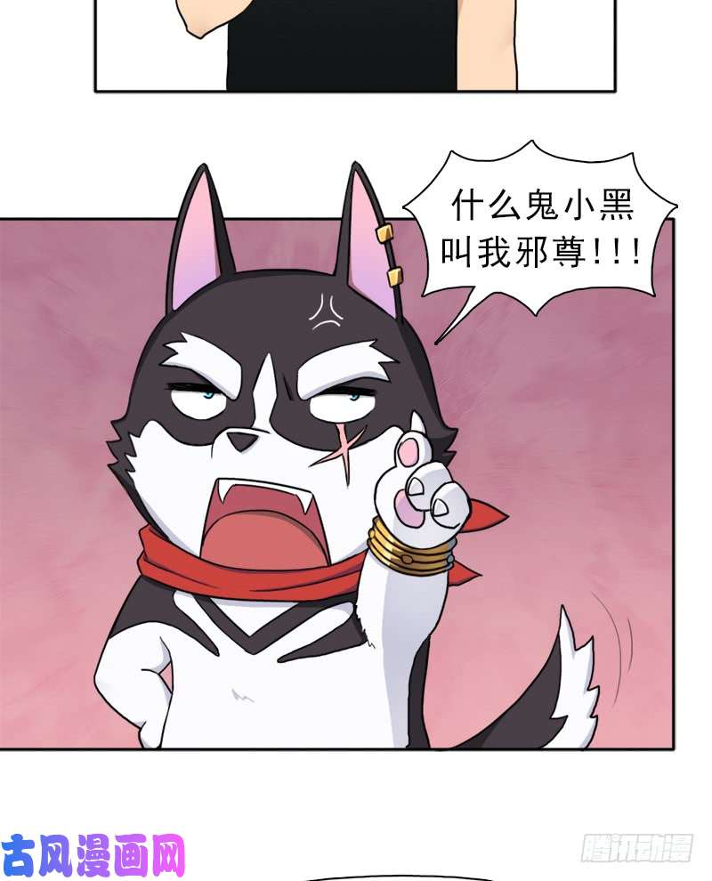 拯救世界吧！大叔邪尊与女神曦