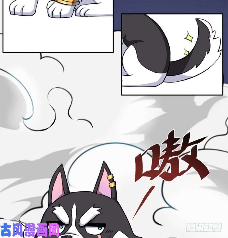 拯救世界吧！大叔邪尊与女神曦
