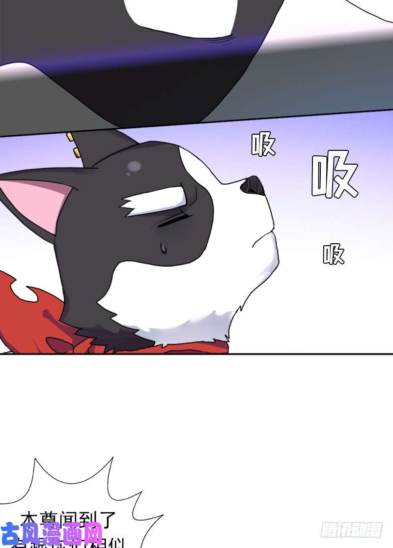 拯救世界吧！大叔闯入强盗窝