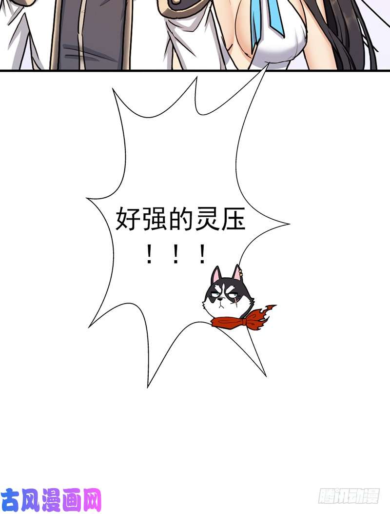 拯救世界吧！大叔黑熊VS花衣