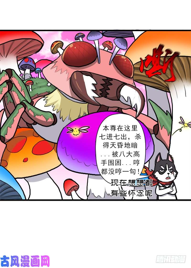 拯救世界吧！大叔大神！请收我为徒