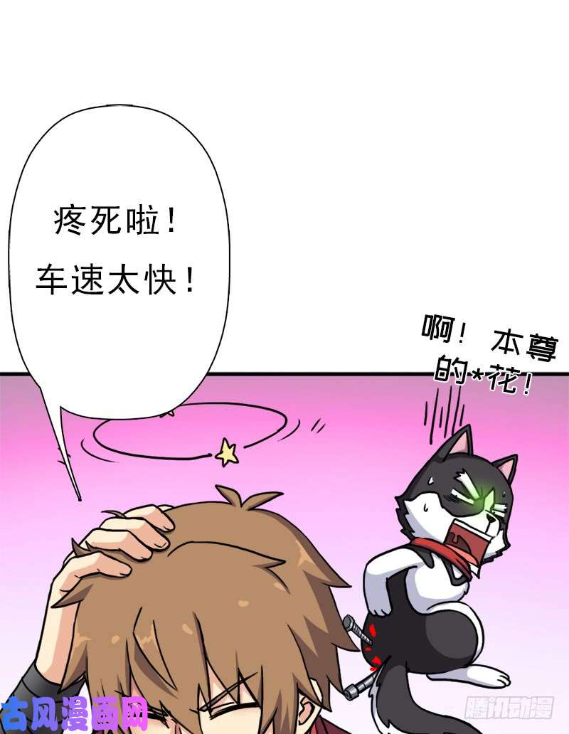 拯救世界吧！大叔狐假虎威