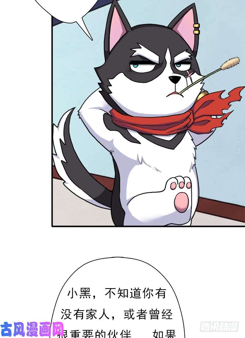 拯救世界吧！大叔金蟾大人