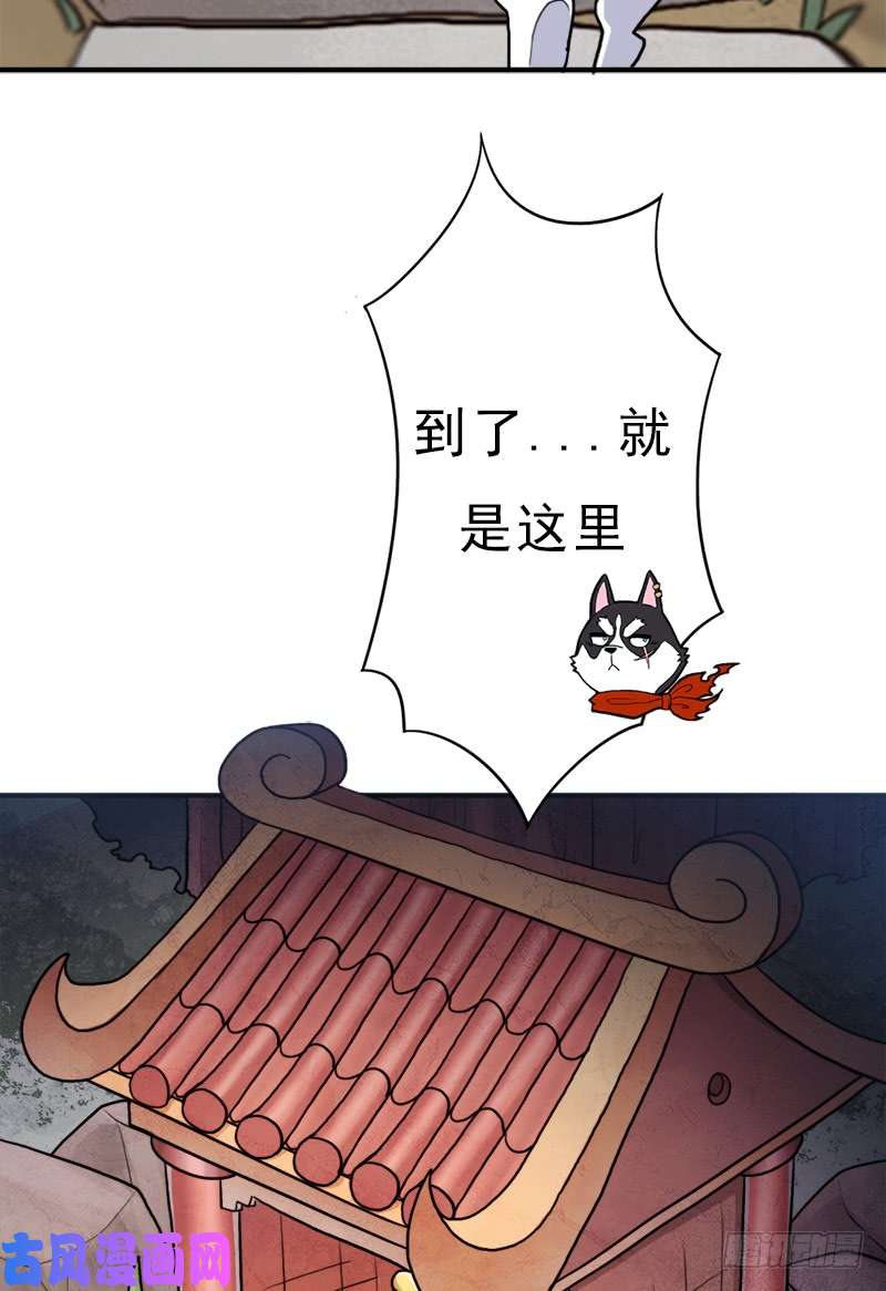 拯救世界吧！大叔金蟾大人