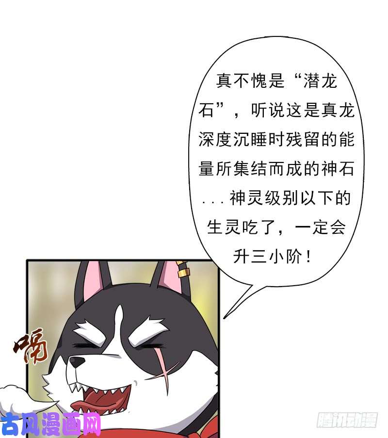 拯救世界吧！大叔金蟾大人