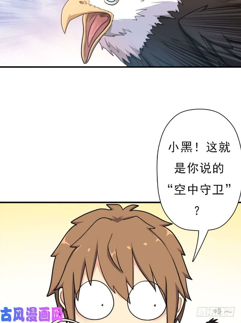 拯救世界吧！大叔金铃儿