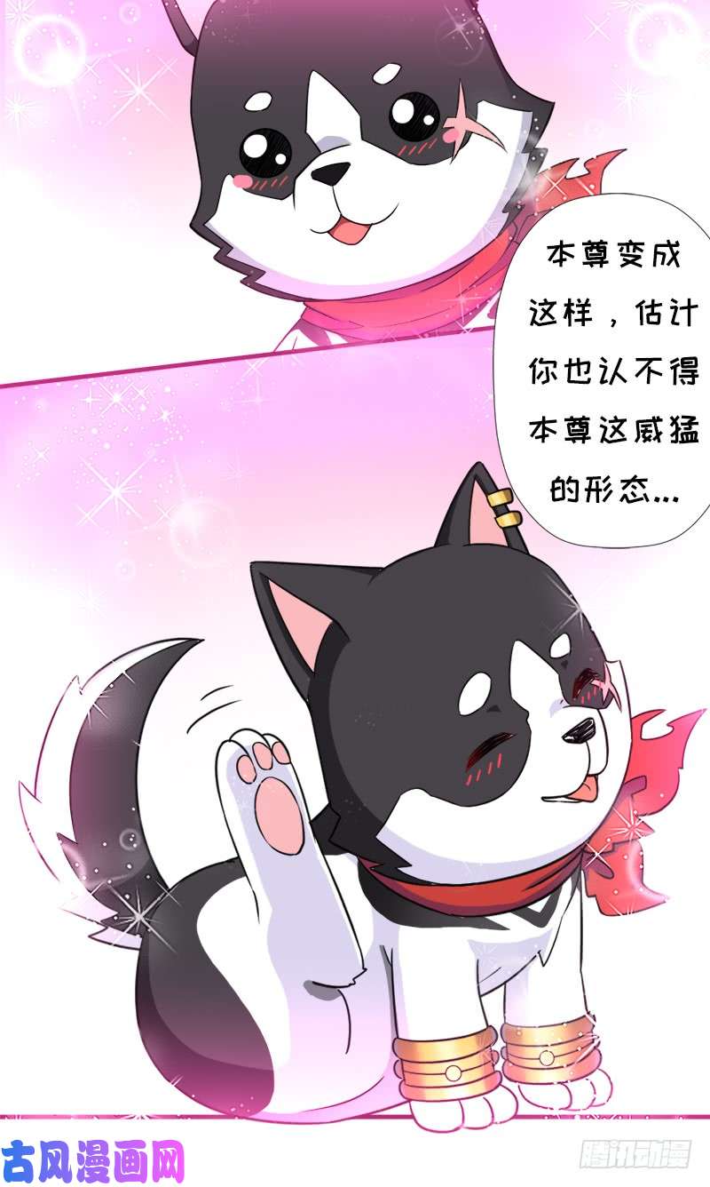 拯救世界吧！大叔小黑的“遗蜕”