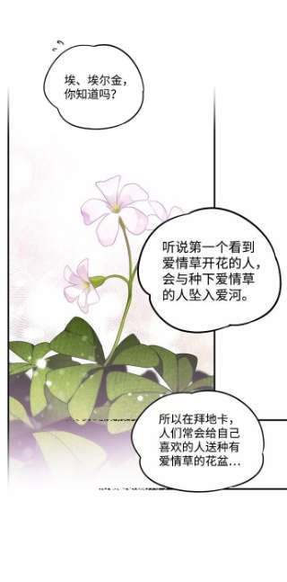 落日夕阳，冰冷目光第39话 仪式之日（1）