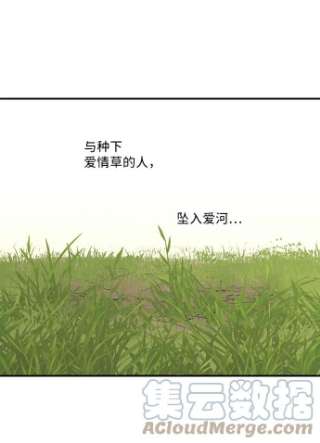 落日夕阳，冰冷目光第39话 仪式之日（1）