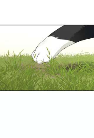 落日夕阳，冰冷目光第39话 仪式之日（1）