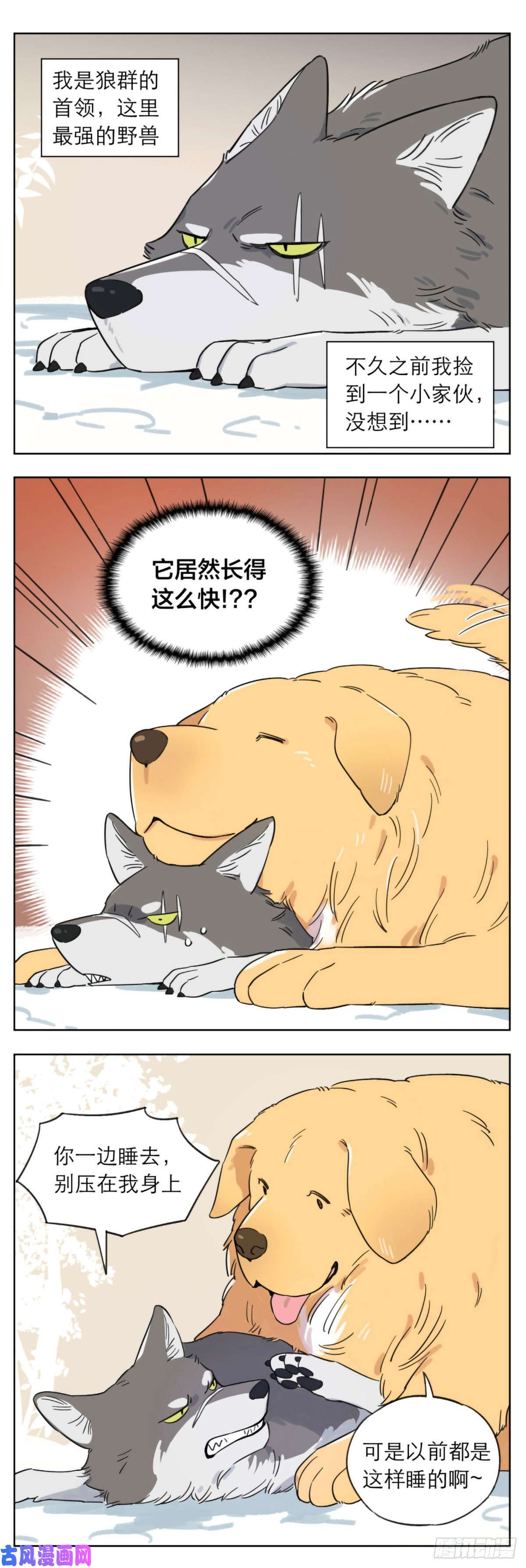 捡了东西的狼相遇后的第一个冬天
