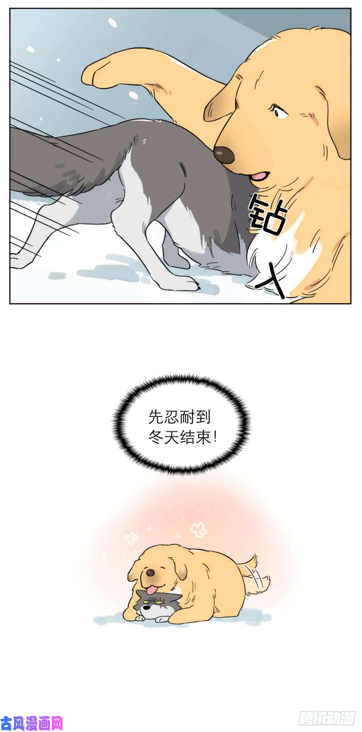 捡了东西的狼相遇后的第一个冬天