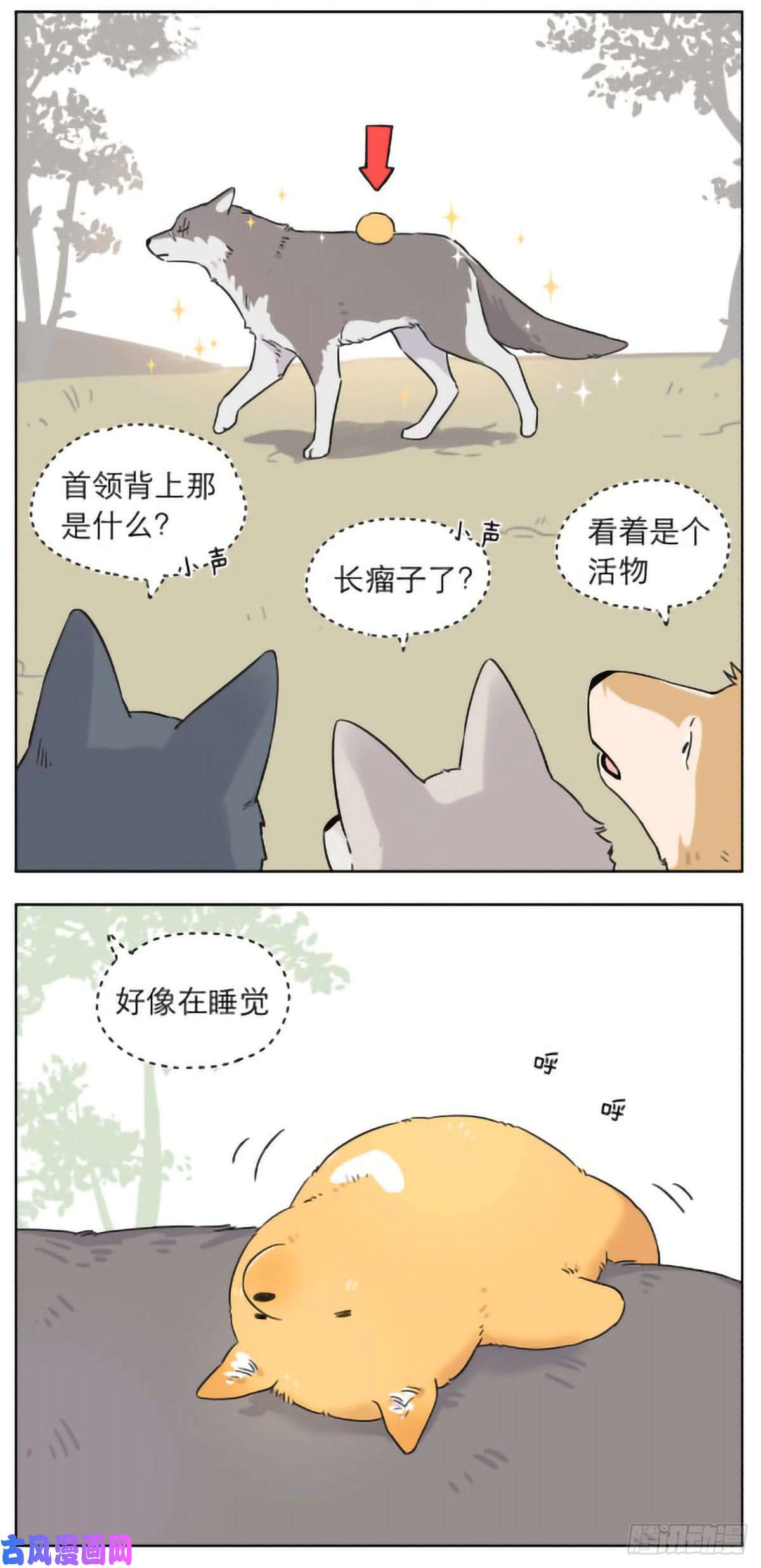 捡了东西的狼狼群里的小弟们 ​​​