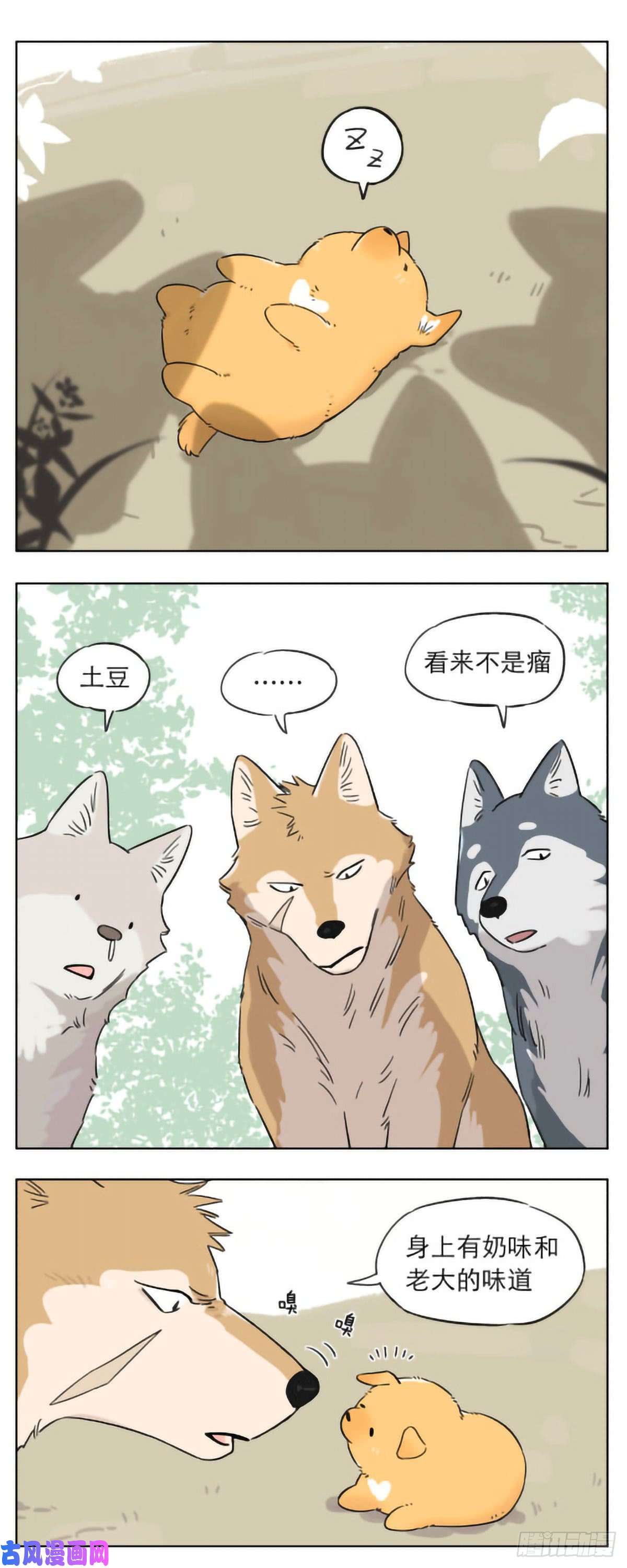捡了东西的狼狼群里的小弟们 ​​​