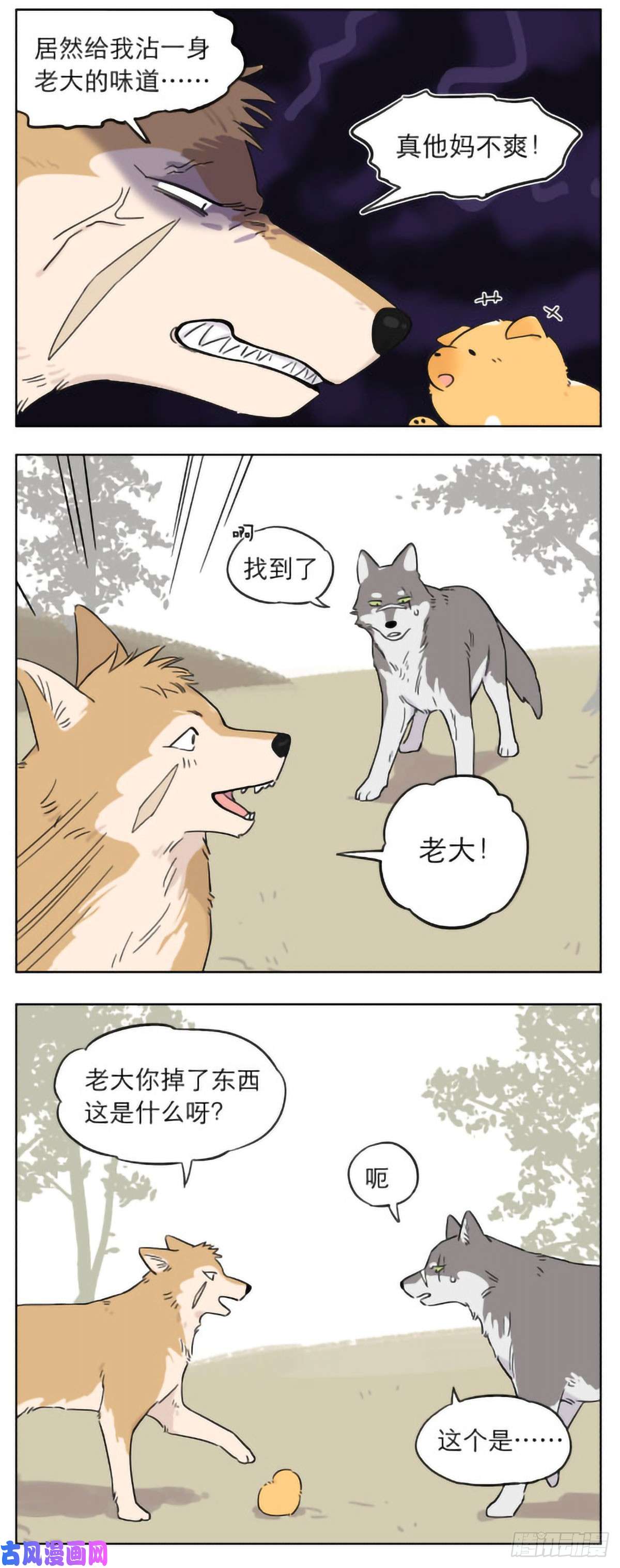 捡了东西的狼狼群里的小弟们 ​​​