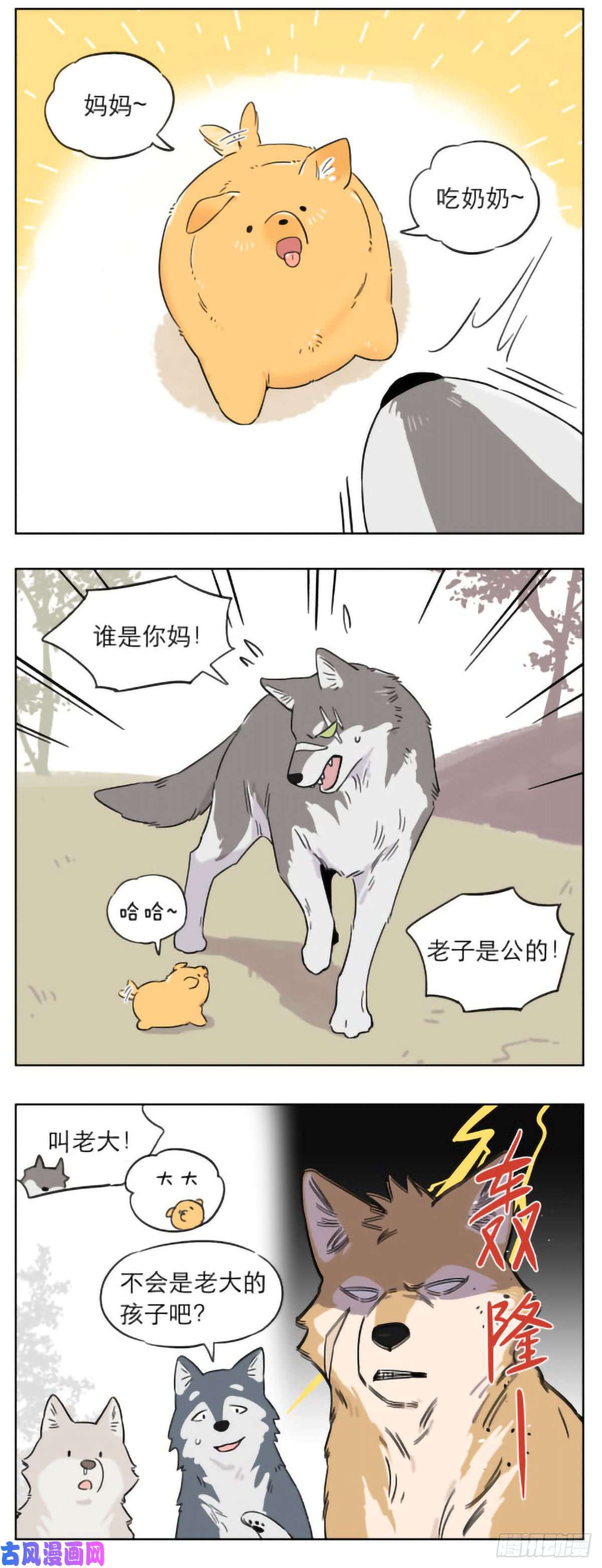 捡了东西的狼狼群里的小弟们 ​​​