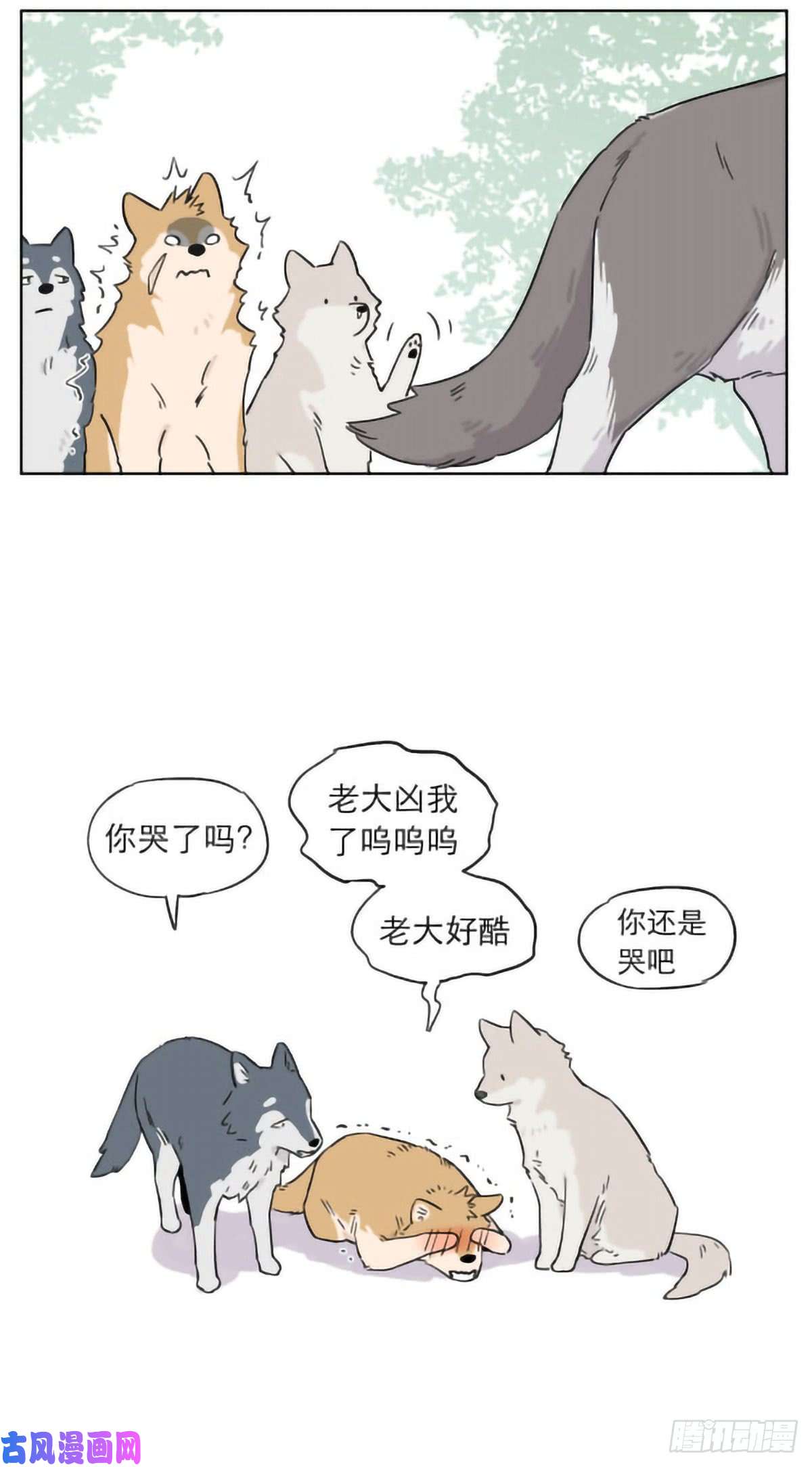 捡了东西的狼狼群里的小弟们 ​​​