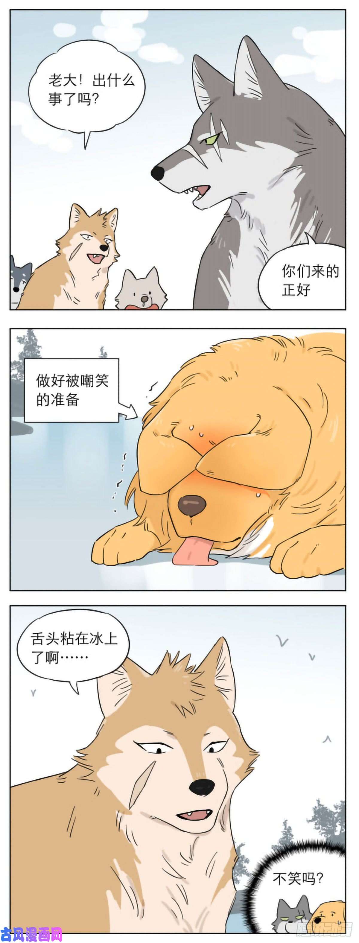 捡了东西的狼发生在冬天里的另一件事