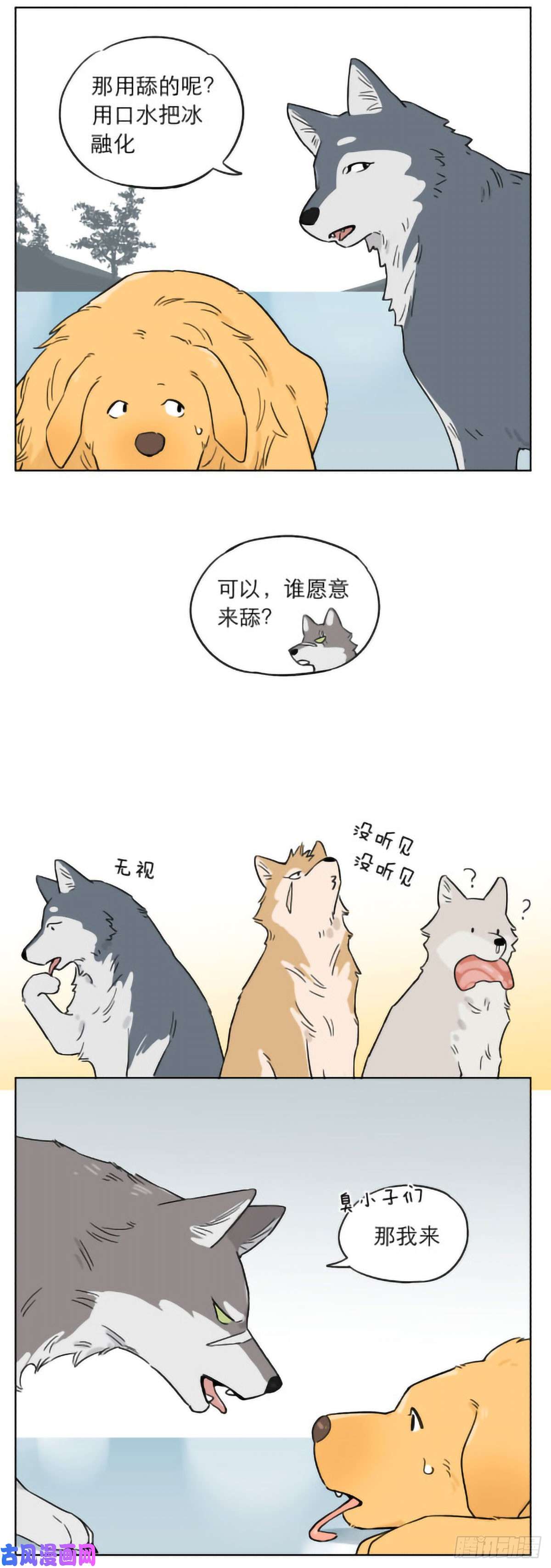 捡了东西的狼发生在冬天里的另一件事