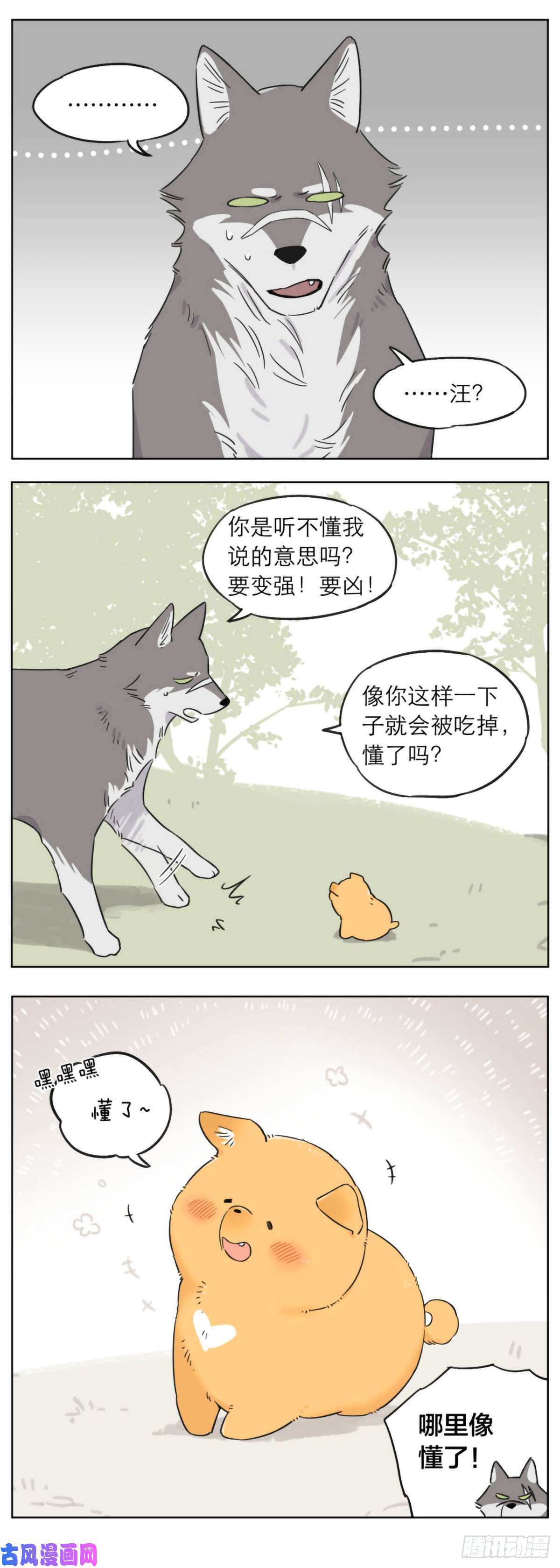 捡了东西的狼想要活下去就要不断变强